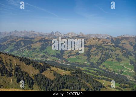 Green mountain meadows and forests with mountain ranges behind under a clear blue sky, mountain panorama with rugged mountains and green valleys Stock Photo