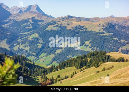Green forests and meadows under a clear blue sky, surrounded by high mountains, mountain panorama with rugged mountains and green valleys, saas fee Stock Photo