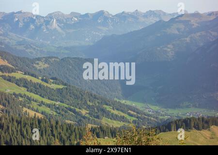 A wide valley between high mountains, covered with dense forests and green meadows, mountain panorama with rugged mountains and green valleys, saas Stock Photo