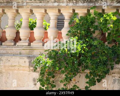 A traditional stone balcony, surrounded by green plants, bathes in sunlight, Historic buildings with beautiful windows, balconies and small towers Stock Photo