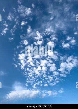 Clouds Altocumulus fleecy clouds in front of blue sky, international Stock Photo