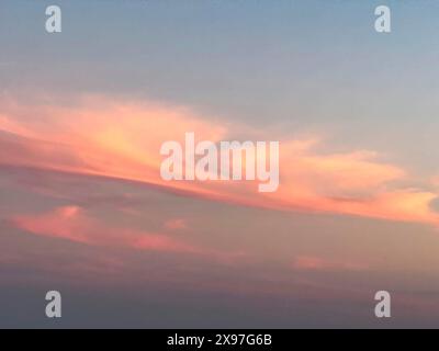 High clouds illuminated reddish red by the evening sun Cloud layer Veil clouds Feather clouds Altocirrus in front of sky at dusk, international Stock Photo