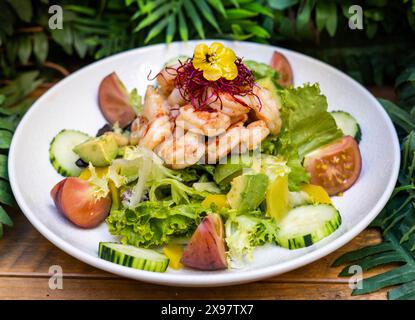 Gourmet shrimp salad and different green sprouts Stock Photo