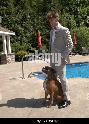 Young man dressed for a formal outing. Standing with him are his pet Boxers. The man is dressed in a light grey tuxedo near a pool in sunny weather. Stock Photo