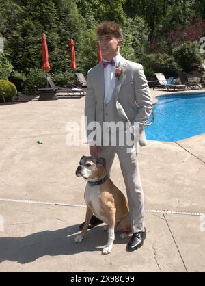 Young man dressed for a formal outing. Standing with him are his pet Boxers. The man is dressed in a light grey tuxedo near a pool in sunny weather. Stock Photo