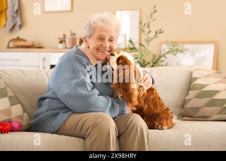 Happy senior woman with cute cavalier King Charles spaniel dog sitting on sofa at home Stock Photo