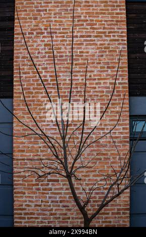 tree without leaves against a brick wall, vertical frame, texture. Stock Photo