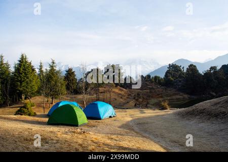 trekking in Chopta, Chamoli, Uttarakhand Stock Photo