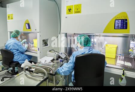 Preparation of drugs in laminar flow hood, epidural anesthesia, Clean room, Pharmacy, Hospital Donostia, San Sebastian, Gipuzkoa, Basque Country, Spain. Stock Photo