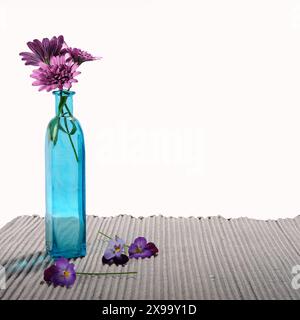 Square photo of purple chrysanthemum in transparent blue turquoise bottle. Pansies lying on the table cloth. Stock Photo