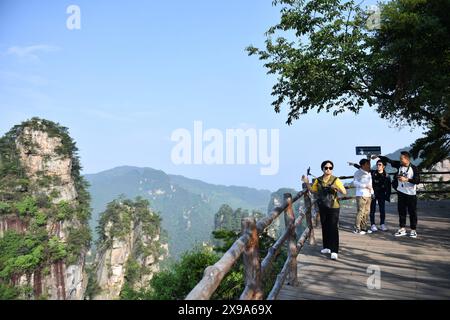 (240530) -- ZHANGJIAJIE, May 30, 2024 (Xinhua) -- South Korean tourists visit Huangshizhai scenic spot of Zhangjiajie National Forest Park in Zhangjiajie, central China's Hunan Province, May 28, 2024. In the first quarter of 2024, Zhangjiajie saw 105,100 South Korean tourist trips, a 27.07 percent increase compared to the same period in 2019, and is accounted for 40.23 percent of the total number of inbound tourists to Zhangjiajie. Currently, there are direct flights from five cities in South Korea to Zhangjiajie, including Seoul and Busan, with a total of 52 flights per week. (Xinhua/Chen Zhe Stock Photo