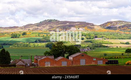 Dundee, Tayside, Scotland, UK. 30th May, 2024. UK Weather: The Strathmore Valley and Sidlaw Hills in Dundee, Scotland, are experiencing patchy cloud cover, sunshine and blustery winds. Credit: Dundee Photographics/Alamy Live News Stock Photo