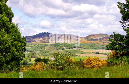 Dundee, Tayside, Scotland, UK. 30th May, 2024. UK Weather: The Strathmore Valley and Sidlaw Hills in Dundee, Scotland, are experiencing patchy cloud cover, sunshine and blustery winds. Credit: Dundee Photographics/Alamy Live News Stock Photo