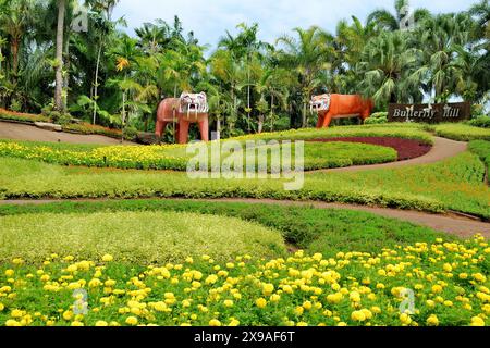 Partial view of the various gardens in Nong Nooch Tropical Botanical Garden, Pattaya, Thailand Stock Photo