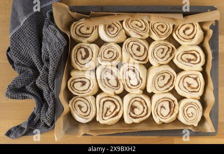 Table top food photography of ready-to-bake cinnamon buns in a baking tray with baking paper beech wood table Stock Photo