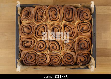 Table top food photography of baked cinnamon buns in a baking tray with baking paper beech wood table Stock Photo