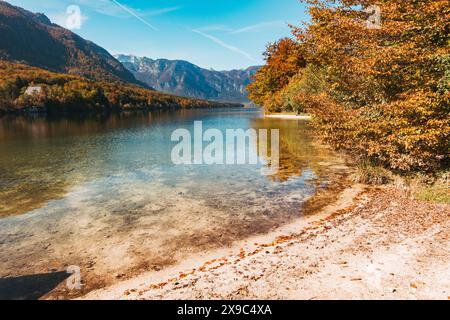 A serene autumnal view of Lake Bohinj, Slovenia, featuring clear blue water, majestic mountains, and vibrant red and orange foliage. Stock Photo