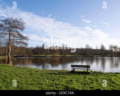 Park bench on the lakeshore with a wide view of the grassy banks and wooded background, small lake with hiking trails and trees in Muensterland Stock Photo