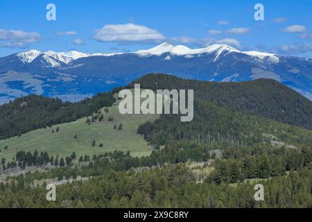 distant peaks of the flint creek range and o'donnell mountain viewed from near the continental divide above deer lodge, montana Stock Photo