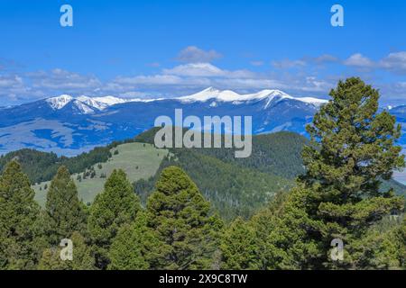 distant peaks of the flint creek range and o'donnell mountain viewed from near the continental divide above deer lodge, montana Stock Photo