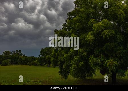 Sanger, Texas, USA. 30th May, 2024. May 27, 2024 - Sanger, Texas ...