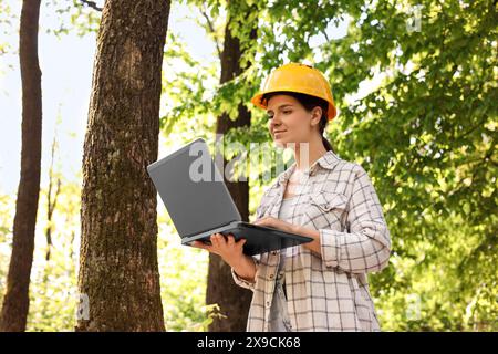 Forester in hard hat with laptop working in forest Stock Photo