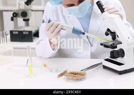 Quality control. Food inspector working in laboratory Stock Photo