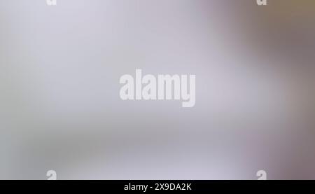 Light gray soft abstract background with smooth color gradient Stock Photo