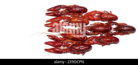 top view photo,  close view of cooked red river crabs on white background Stock Photo