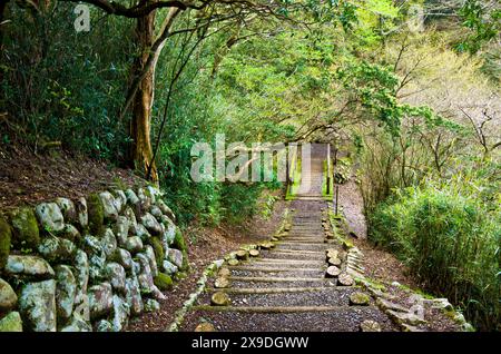 Hakone Nature trail around Lake Ashi in Hakone town, Kanagawa prefecture, Kanto, Japan. Stock Photo