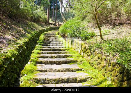 Hakone Nature trail around Lake Ashi in Hakone town, Kanagawa prefecture, Kanto, Japan. Stock Photo