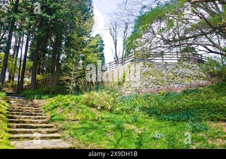 Hakone Nature trail around Lake Ashi in Hakone town, Kanagawa prefecture, Kanto, Japan. Stock Photo