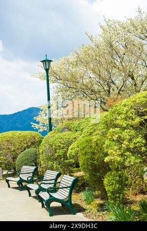 Hakone Nature trail around Lake Ashi in Hakone town, Kanagawa prefecture, Kanto, Japan. Stock Photo