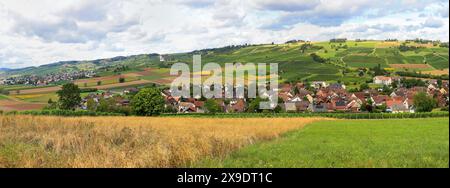 Panorama of vineyard fields with Church St. Moritz, Klettgau, Schaffhausen, Switezrland. Klettgau is a well-known wine production area. Stock Photo