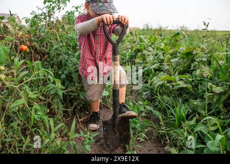 Child digging in a vegetable garden with a shovel Stock Photo