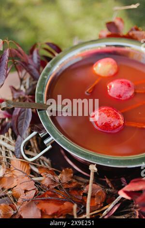 Apples float in hot apple cider with cinnamon at fall fest Stock Photo