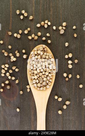 Spoon Full of Dried Coriander Seeds on Black Wooden Background Stock Photo