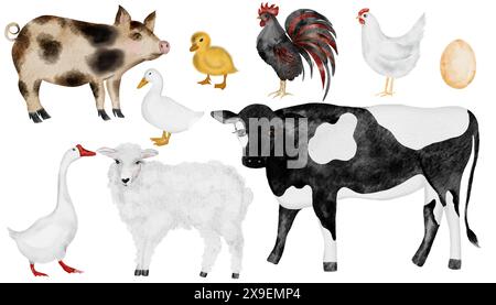 Set of farm animals. Cute watercolor illustration of pets. Hand drawn cow and goose, sheep and chicken, rooster and duck, pig and sheep. Isolated Stock Photo