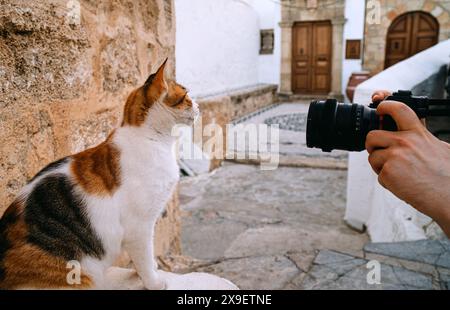 A man takes a photo of a cat on the street. Stock Photo