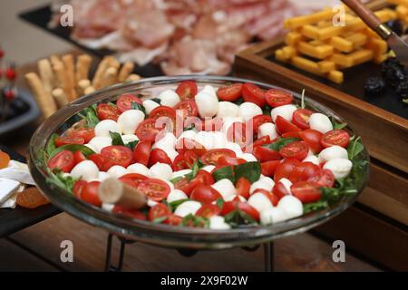 Shallow depth of field (selective focus) details with tomatoes, mozzarella and basil salad at a buffet. Stock Photo