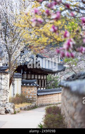 House in Gyeongju Gyochon Traditional Village, Gyeongju, South Korea ...