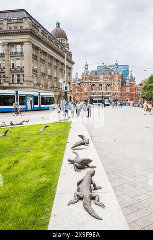Iguana Sculptures line a seating area in Amsterdam, the Netherlands on 26 May 2024.  These were created by Dutch artist Hans van Houwelingen in 1994. Stock Photo