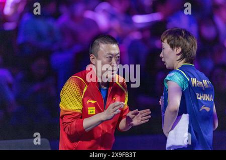 Chongqing. 31st May, 2024. Wang Manyu (R) of China listens to coach Ma Lin at break as she competes against Ito Mima of Japan during the women's singles round of 32 match at the WTT Champions Chongqing 2024 in southwest China's Chongqing, May 31, 2024. Credit: Huang Wei/Xinhua/Alamy Live News Stock Photo