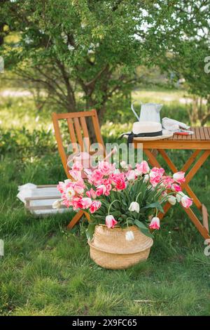 Basket filled with a bunch of pink and white flowering tulips in a summer garden next to garden furniture, Belarus Stock Photo