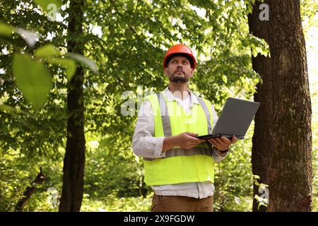 Forester in hard hat with laptop working in forest Stock Photo