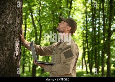 Forester with laptop examining tree in forest Stock Photo