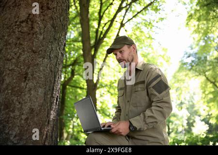 Forester with laptop examining tree in forest Stock Photo