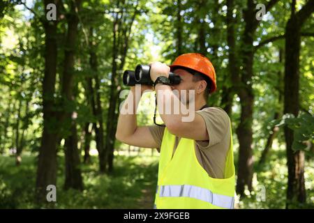 Forester with binoculars examining plants in forest Stock Photo