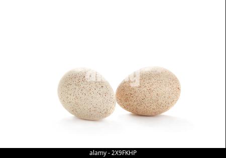 egg turkey isolated on a white background Stock Photo