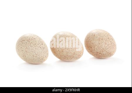 egg turkey isolated on a white background Stock Photo